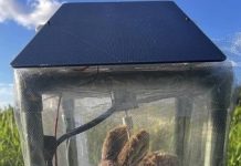 Robot rabbits the latest tool in Florida battle to control invasive Burmese pythons in Everglades 14