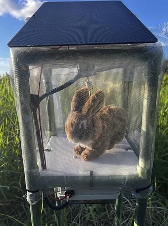 Robot rabbits the latest tool in Florida battle to control invasive Burmese pythons in Everglades 14