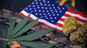 Wake Up: The Growing Threat of Marijuana to Our Youth 9.26