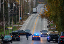 Maine shooting survivors sue US government, alleging army failed to stop deadly attack 图片3