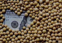 Trump’s Tariff Dream, Our Bitter Harvest 捕获