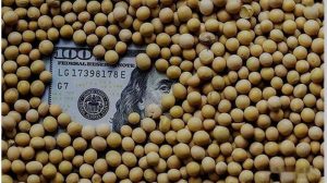 Trump’s Tariff Dream, Our Bitter Harvest capture