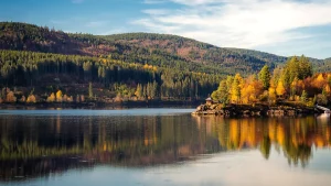 Leaf-peeping around the world: Where to see autumn's best colours 10.31 54