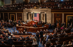 The American Political System: A Circus of Chaos 2222