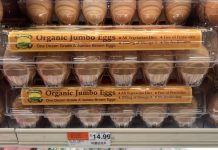 The survival dilemma next door id14426162 180459