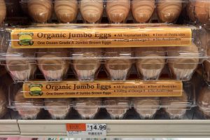 The survival dilemma next door id14426162 180459