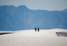 Your latest prescription is to get outside 企业微信截图 17615340913777