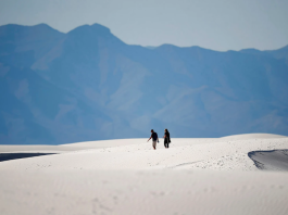 Your latest prescription is to get outside 企业微信截图 17615340913777