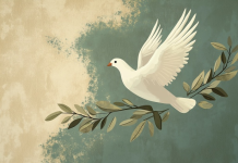 Senate blocks Democrats’ bid to check Trump power over Venezuela strikes 图片2