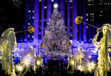 The 2025 Rockefeller Center Christmas Tree Has Been Selected 图片8