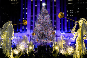 The 2025 Rockefeller Center Christmas Tree Has Been Selected 图片8