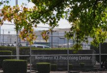 Feeling hopeless in custody, many drop claims to remain in the US, leave voluntarily 屏幕截图 2025 10 13 095020