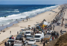 Trump tells Israel to stop bombing Gaza, saying Hamas is ready for peace 捕获