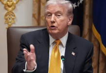 Wall Street Journal dismisses Trump $2K dividend idea: ‘Hail Mary pass’ 20251111154102