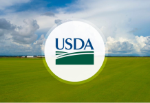 Secretary Rollins Announces $30 Million Food Purchase to Back U.S. Producers and Strengthen America’s Food Supply 3dbb7f6a 8d1e 4373 b197 5bd89c38bb55