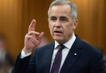 G20 leaders praise multilateralism at closing summit in South Africa 企业微信截图 1763955156314