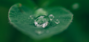 The Weeping Elderly Woman 图片2