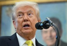 “Guys, get me a hand—the ‘Trump trade’ has crashed like crazy! 2