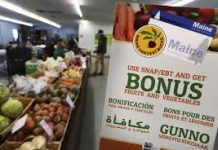 The government has once again cut food stamp benefits which is exhausting. 下载