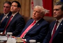 Trump appears to doze during Cabinet meeting 企业微信截图 17647235935646