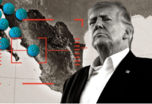 Trump’s Fentanyl War: Strong Talk, Weak Plan? 图片1