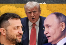 Trump’s Peacemaking Move: A Bold Texas-Style Deal for Ukraine 图片1