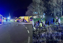 In a small Dutch town, a car crashed into a crowd waiting to watch a parade, injuring nine people. 图片2