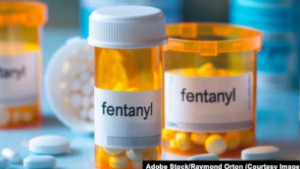 Trump's Fentanyl War: Strong Talk, Weak Plan? 图片2