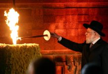 The Silent Promise of “Never Again”: An American Reflection on International Holocaust Remembrance Day u=1178116697,2144284432&fm=3003&app=3003&f=jpeg